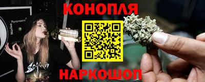шишки Шахты
