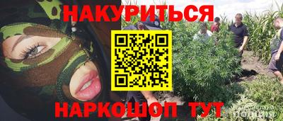 шишки Шахты